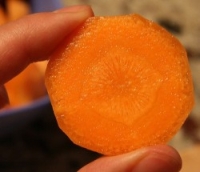 img143/2846/havucsk9.jpg